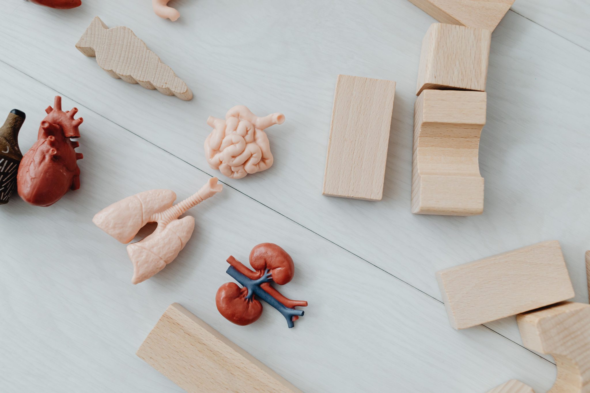 Your heart and kidneys are more connected than you think – Mother And ...